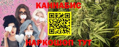 СК Владивосток