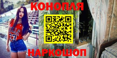 СК Владивосток