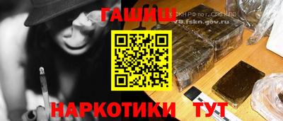 мяу мяу мука Владимир