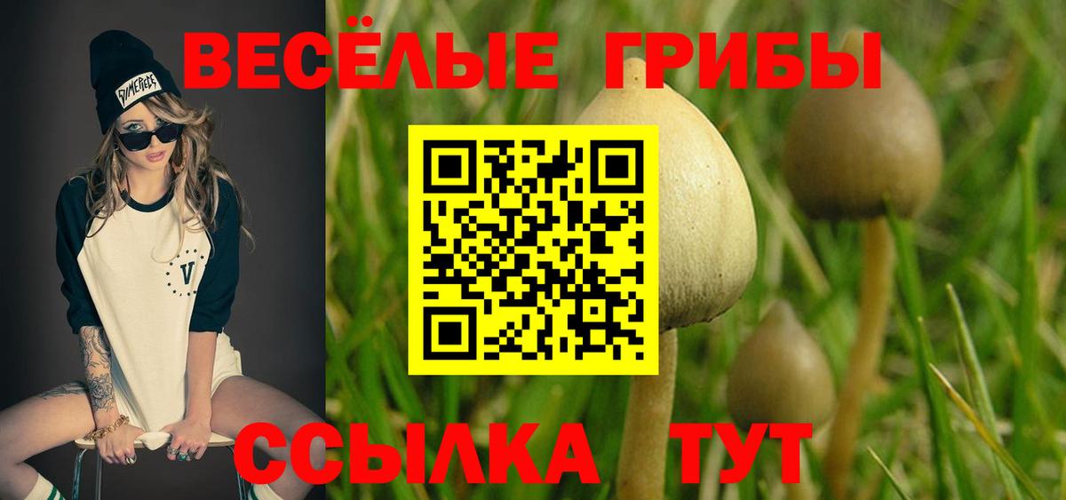 Галлюциногенные грибы Psilocybine cubensis Гуково